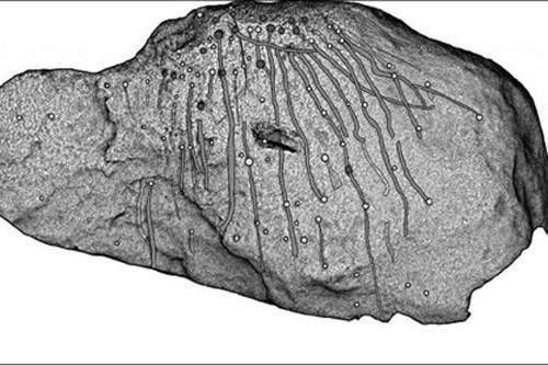 Hình chạm khắc bí ẩn trên đá cổ chỉ hiện lên dưới ánh trăng