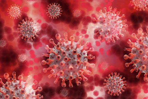 Nhật Bản phát hiện khí ozone có thể vô hiệu hóa virus SARS-CoV-2