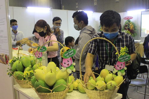 Doanh nghiệp Việt phải bỏ tư duy 'an phận thủ thường' để chinh phục EU