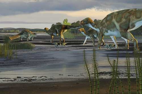 Mẩu hài cốt tiết lộ bí ẩn những "quái thú" vĩ đại nhất thế giới