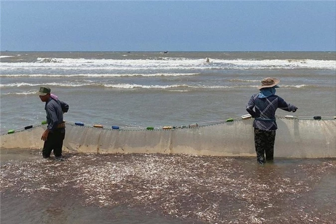 Cô thấy mừng cho bà con ngư dân bởi suốt cả tháng nay, đây là mẻ lưới trúng đậm của họ.