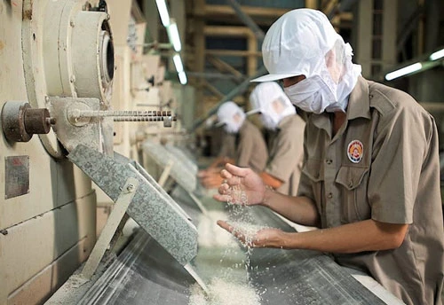 EU dành cho Việt Nam hạn ngạch 80.000 tấn gạo/năm với mức thuế 0%, là cơ hội lớn cho ngành lúa gạo Việt Nam nâng cao thị phần tại thị trường cao cấp này.