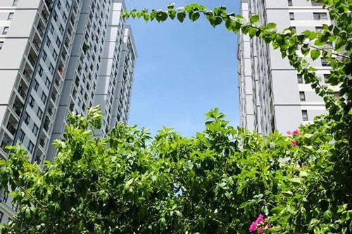 Nghị định 91/2020/NĐ-CP: 'Thuốc đặc trị' cho cuộc gọi 'rác' chào mua nhà, đất