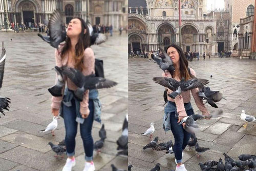 Loạt ảnh chứng minh chân lý "đời không như là mơ": Khổ chủ thì buồn thấu tim gan mà cư dân mạng được phen cười cứng bụng