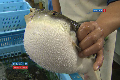 Những sự thật không ngờ về Nhật Bản