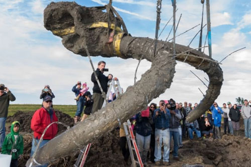 Bí ẩn về sự sống của loài người vô tình được tìm thấy