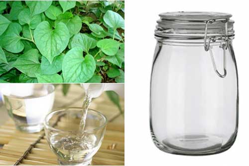 Ngâm rau diếp cá với rượu gạo - Điều kỳ diệu sẽ đến với làn da của bạn