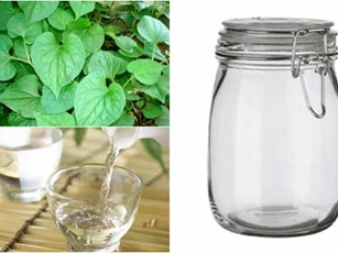 Ngâm rau diếp cá với rượu gạo - Điều kỳ diệu sẽ đến với làn da của bạn