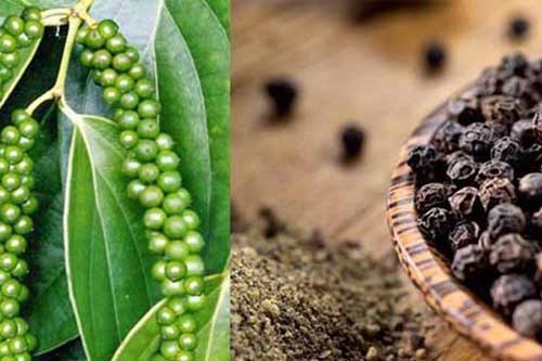 Bỏ vài hạt tiêu nhỏ vào quần áo, cứ tưởng mùi nhưng kết quả khiến ai cũng bất ngờ