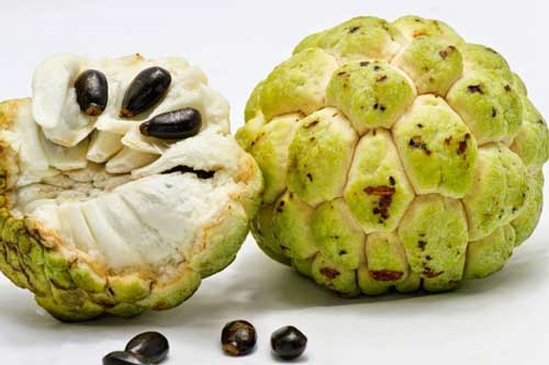 "Khung giờ vàng" để ăn na tăng gấp đôi dinh dưỡng, bạn không nên bỏ lỡ