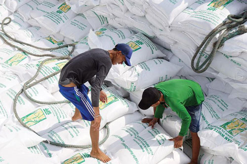 Gạo Việt lập kỷ lục mới