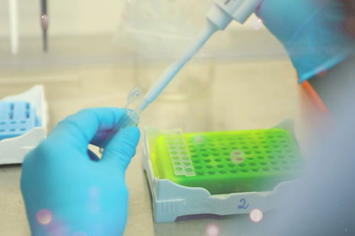 Chưa có bằng chứng về khả năng lây nhiễm của các trường hợp tái dương tính ở Việt Nam