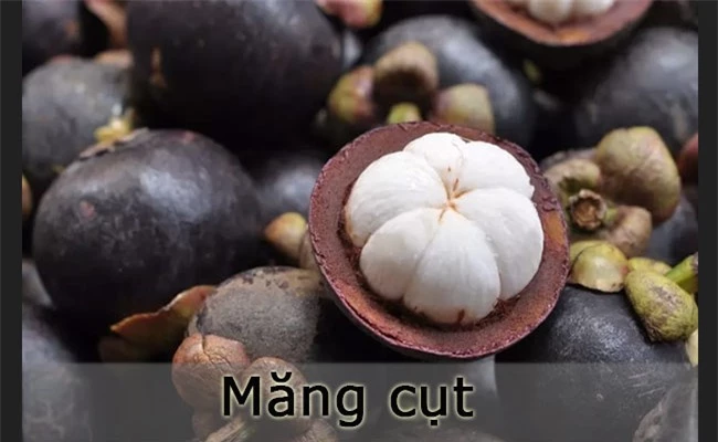 10 loại quả hiếm nhất thế giới, 4 trong số đó mọc đầy ở Việt Nam - 2