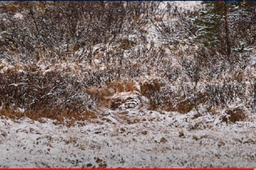 CLIP: 9 câu đố "khó nhằn" kiểm tra độ tinh mắt của bạn