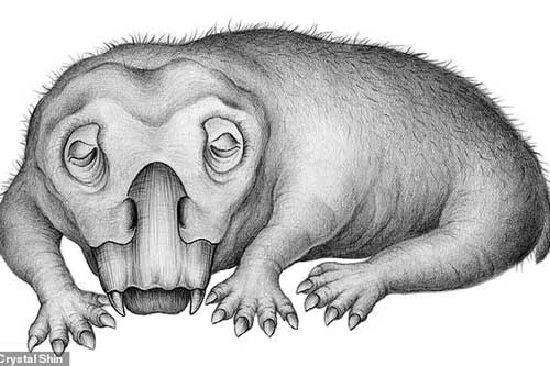 Choáng: "Heo lai khủng long" khổng lồ thống trị Nam Cực 250 triệu năm trước