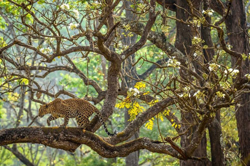 Loạt ảnh khiến bạn phải ngỡ ngàng trước vẻ đẹp 'nghẹt thở' của thiên nhiên