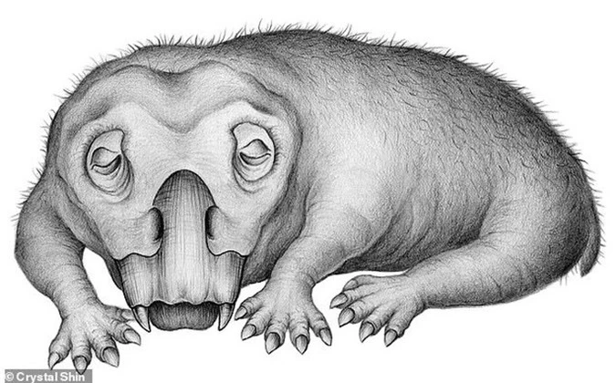  Choáng: heo lai khủng long khổng lồ thống trị Nam Cực 250 triệu năm trước - Ảnh 1.
