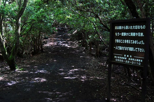 Tấm biển nhắc nhở đặt ngay lối vào Hải Lâm (Aokigahara forest) nhằm đề nghị du khách chớ liều mình.