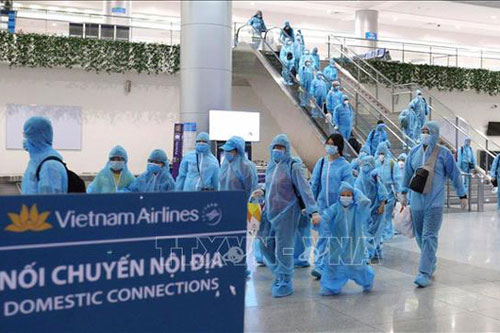 Đề nghị đưa 600 người từ Đà Nẵng về TP.HCM