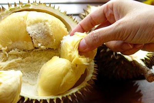 5 thực phẩm "đại kỵ" với sầu riêng vì nếu ăn chẳng khác nào tích "chất độc" vào cơ thể