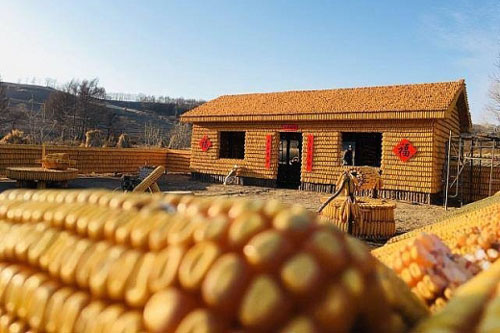 Thích thú với ngôi nhà làm từ hơn 20.000 bắp ngô