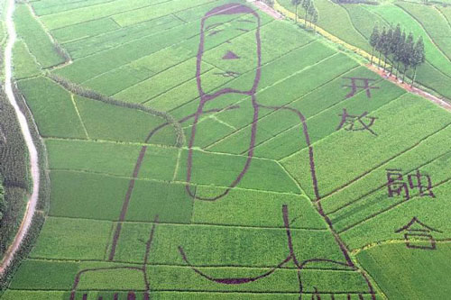 Tượng Phật dài 100m 'tạc' trên ruộng bậc thang