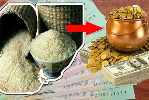 &#x110;&#x1EB7;t h&#x169; g&#x1EA1;o &#x111;&#xFA;ng &quot;cung t&#xE0;i l&#x1ED9;c&quot; n&#xE0;y, ti&#x1EC1;n c&#x1EE9; v&#x1A1;i l&#x1EA1;i &#x111;&#x1EA7;y, quanh n&#x103;m gi&#xE0;u c&#xF3;