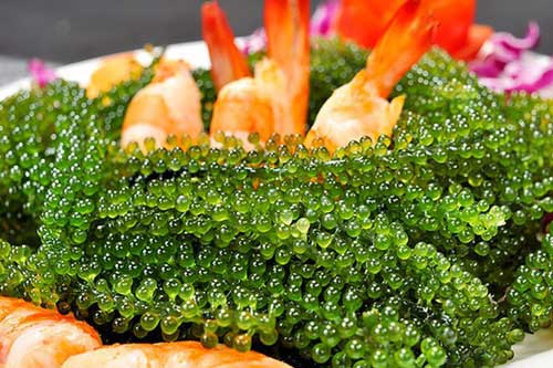 Những loại thực phẩm giải độc gan, thận, thanh lọc cơ thể 