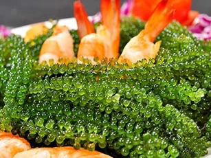 Những loại thực phẩm giải độc gan, thận, thanh lọc cơ thể