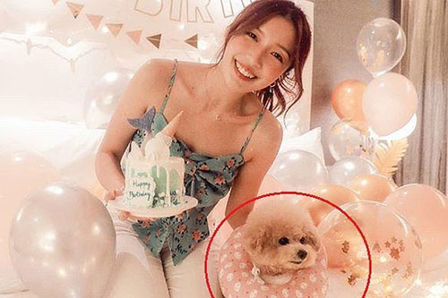 Người tình của tỷ phú Lý Trạch Giai tổ chức sinh nhật xa hoa