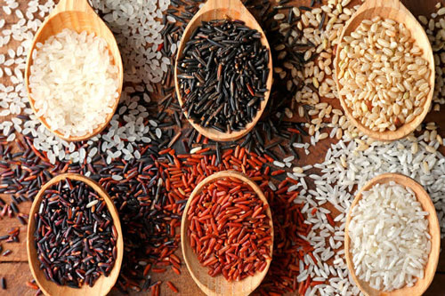 Top 10 loại gạo ngon được người tiêu dùng ưa chuộng nhất