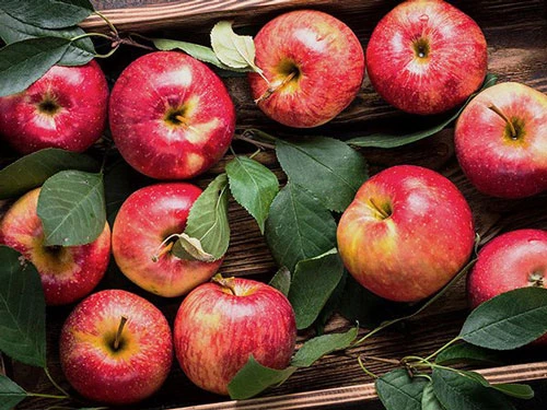 Những quả táo ở siêu thị có thể đã được bảo quản rất lâu mà bạn không biết