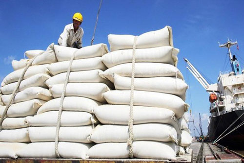 Gạo Việt Nam vững giá trên 480 USD/tấn tuần thứ hai liên tiếp