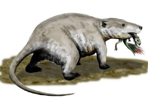 Tìm thấy dấu vết của động vật có vú trên hóa thạch của loài khủng long Mamenchisaurus