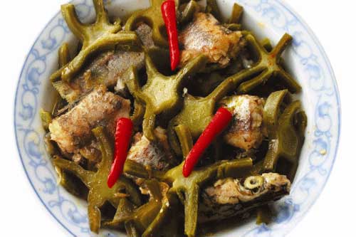 Những tác dụng kì diệu của xương rồng có thể chữa dứt điểm gai cột sống, phòng chống ung thư hiệu quả