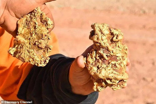 Hai anh em săn kho báu đào được 2 cục vàng trị giá 8 tỷ đồng