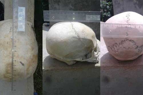 Choáng: Hài cốt người trong "mộ hang động" có hộp sọ như của loài khác