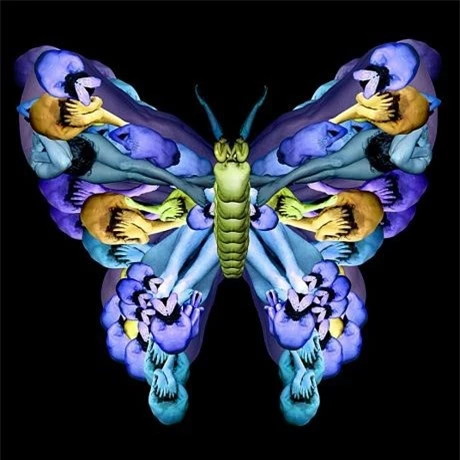 Hình một con bướm khổng lồ được tạo nên từcác người mẫu khỏa thân.