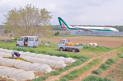 Người đàn ông "chê" 1,7 triệu USD để sống trồng rau giữa sân bay quốc tế