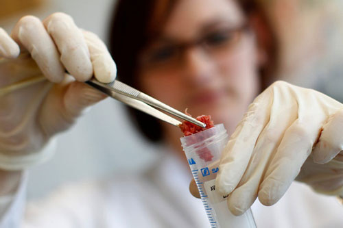 Giải pháp “gây tranh cãi” cho vấn đề biến đổi khí hậu