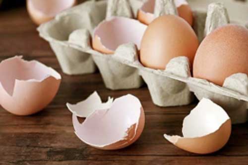Thấy con dâu tích trữ vỏ trứng trong nhà, mẹ chồng tưởng "điên" hóa ra là có bí mật