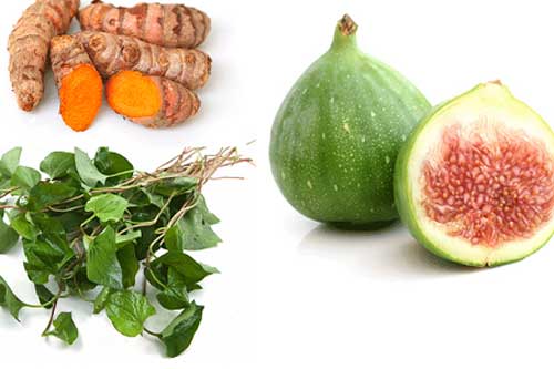 Những bài thuốc dân gian chữa bệnh trĩ có thể bạn chưa biết