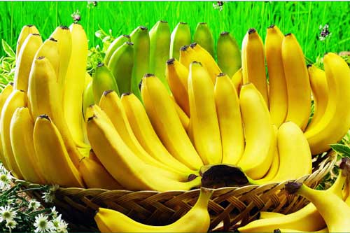 Ăn 1 quả chuối mỗi ngày, bạn sẽ nhận về 10 lợi ích tuyệt vời cho sức khỏe