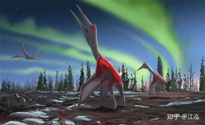 Canada phát hiện ra loài khủng long bay mới, có kích thước tương đương một chiếc máy bay nhỏ - Ảnh 10.