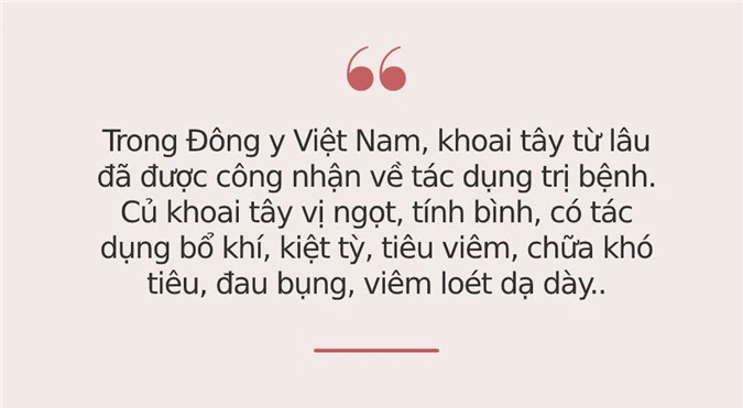 Giàu sắt gấp 3 lần thịt gà, loại củ này được người Nhật, người Mỹ tôn &quot;thuốc quý&quot;, ở Việt Nam có rất nhiều nhưng ít ai biết để tận dụng - Ảnh 2.