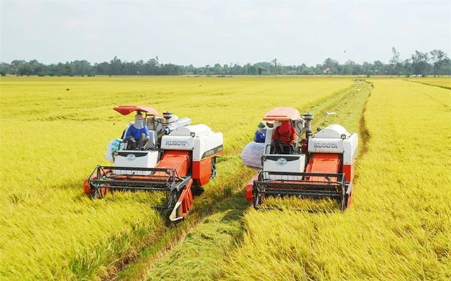 Sản xuất nông nghiệp hữu cơ - Nền tảng phát triển nông nghiệp bền vững - Ảnh 1.