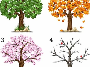 Trắc nghiệm: Bạn thích cây số mấy nhất, "bật mí" ngay ưu điểm vượt trội của bạn