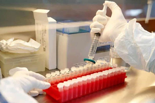 Mỹ "đứng ngoài" nỗ lực sản xuất vaccine chung của WHO. Ảnh: TG Mỹ "đứng ngoài" nỗ lực sản xuất vaccine chung của WHO. Ảnh: TG