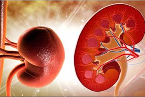 Đi tiểu mà có những dấu hiệu này, cần đi khám thận ngay lập tức