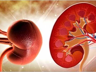 Đi tiểu mà có những dấu hiệu này, cần đi khám thận ngay lập tức